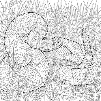 Prairie Rattlesnake